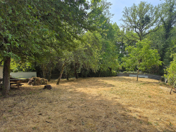 photo3