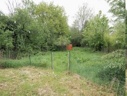 photo8
