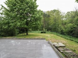 photo9