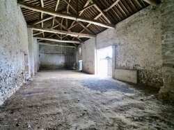photo11