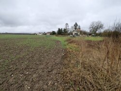 photo1