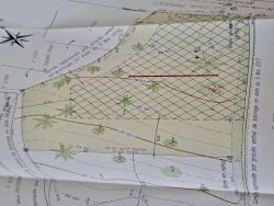 photo1