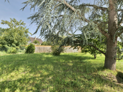 photo16