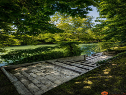 photo18