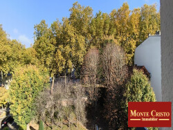 salon--salle-a-manger-