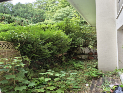 photo6
