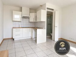 agpi-t2-a-vendre-a-chevreuse-