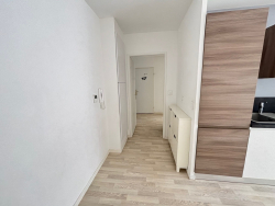 photo11