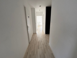 photo5