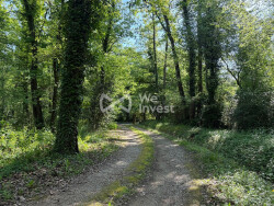 terrasse-de-l-entree-