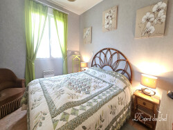 maison-recente-a-rabastens--beau-jardin