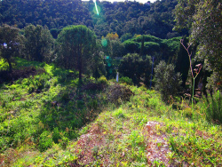 projet-maison-accepte-n2