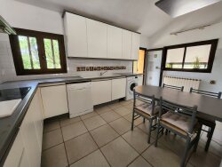 photo7