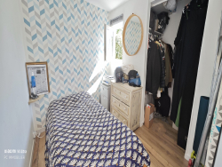photo5