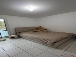 photo4
