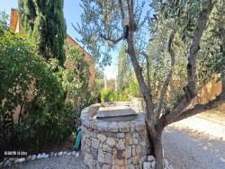 photo5