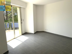 photo11