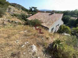 photo11