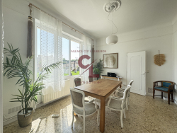 photo11