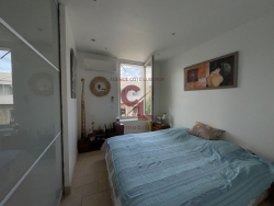 photo11