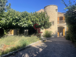 photo15