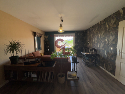 photo19