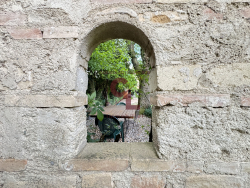 photo19