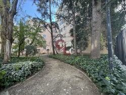photo5