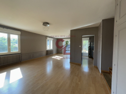 photo8