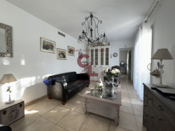 photo6