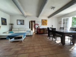 photo6