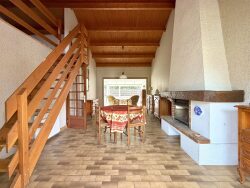 sejour-avec-cheminee-insert