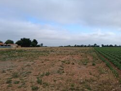 vue-campagne