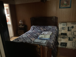 photo6