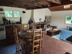 salon-avec-cheminee-