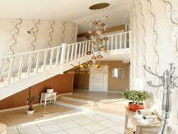 salon-avec-cheminee-