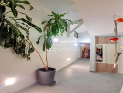 sejour-ouvert-sur-cuisine