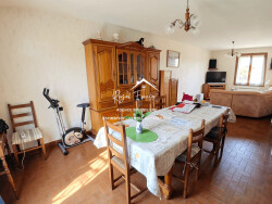 sejour-avec-cheminee