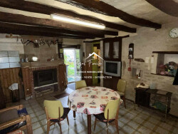 sejour-avec-cheminee