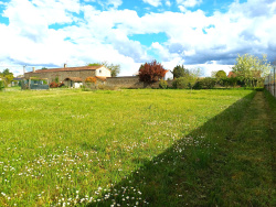 -ce-terrain-de-forme-rectangulaire-et