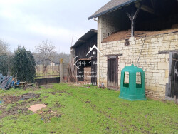 grand-terrain-ideal--pour-les-animaux