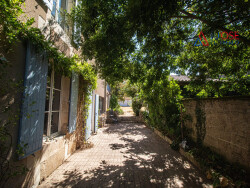 jardin-avec-trois-garages