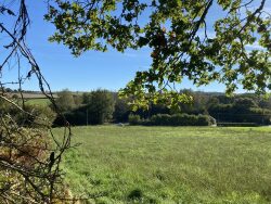 vue-par-le--bas-du-terrain-
