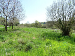 terrain-attenant