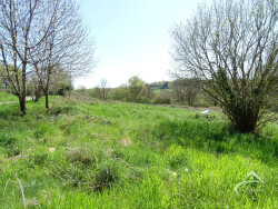 terrain-attenant