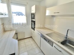photo12