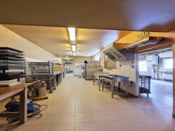 laboratoire-1