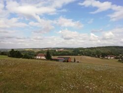 vue-sur-le-terrain-a-batir-depuis-la-rue