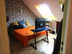 photo6