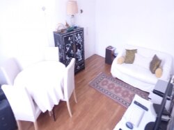 photo7